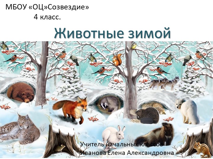 Презентация по миру природы и человека на тему "Животные зимой" - Скачать презентации бесплатно | Читать или скачать учебники для школы онлайн бесплатно ☑ Школьные учебники school-textbook.com