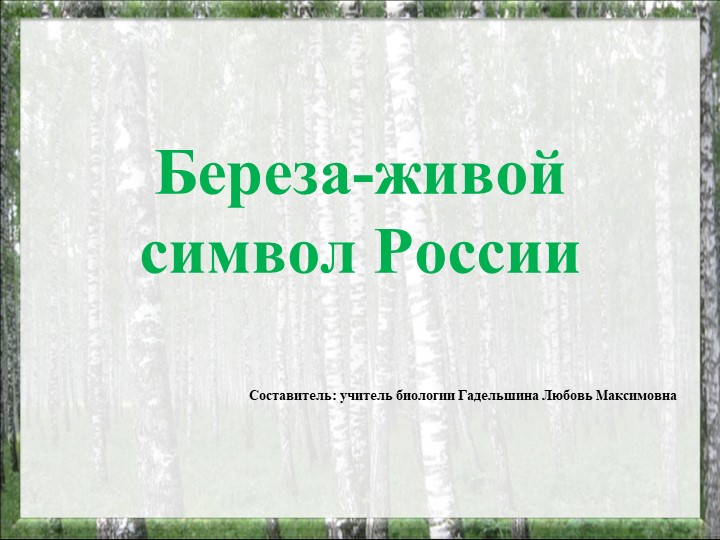Презентация на тему "Береза - живой символ России" - Скачать презентации бесплатно | Читать или скачать учебники для школы онлайн бесплатно ☑ Школьные учебники school-textbook.com