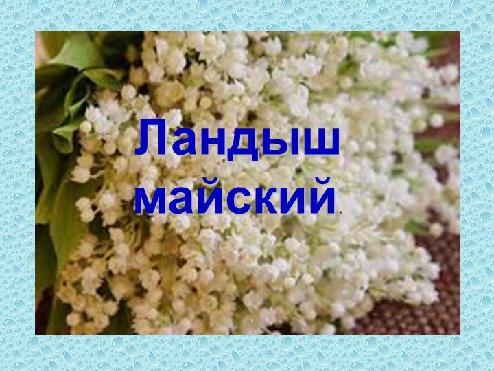 Презентация по биологии на тему "Ландыш" - Скачать презентации бесплатно | Читать или скачать учебники для школы онлайн бесплатно ☑ Школьные учебники school-textbook.com