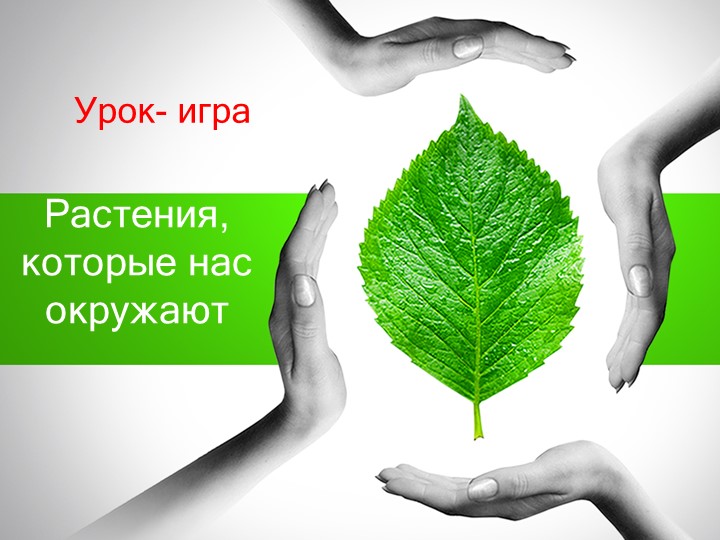 Презентация по кубановедению 6 класс"Растения, которые нас окружают" - Скачать презентации бесплатно | Читать или скачать учебники для школы онлайн бесплатно ☑ Школьные учебники school-textbook.com