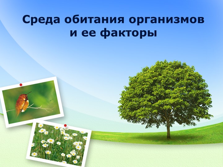 Презентация к уроку "Среда обитания организмов" - Скачать презентации бесплатно | Читать или скачать учебники для школы онлайн бесплатно ☑ Школьные учебники school-textbook.com