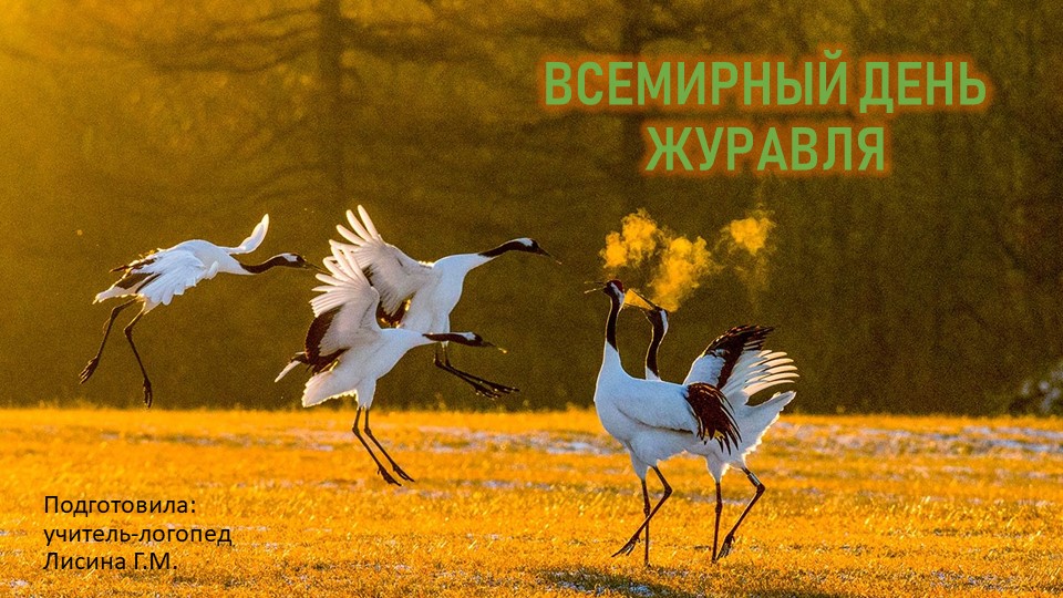 Беседа с детьми старшей логопедической группы "Всемирный день журавля" - Скачать презентации бесплатно | Читать или скачать учебники для школы онлайн бесплатно ☑ Школьные учебники school-textbook.com