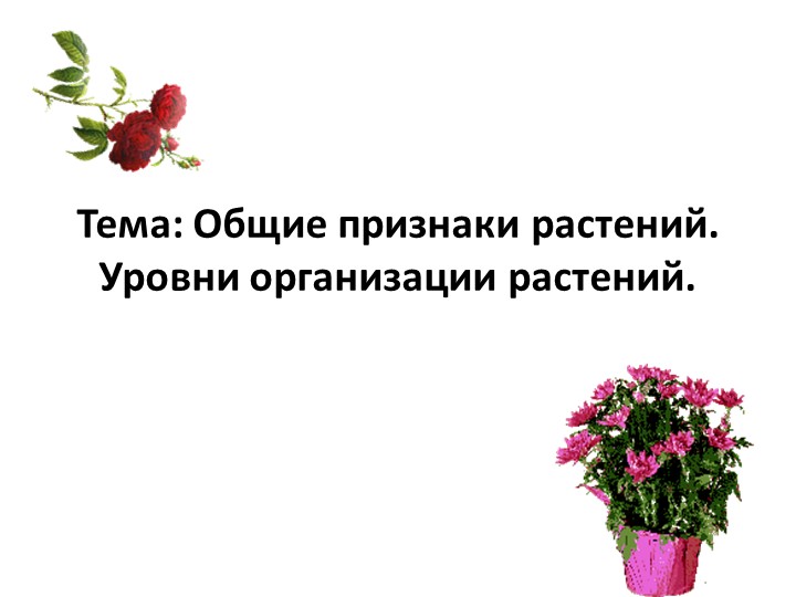 Презентация на тему: "Общие признаки растений" (6 класс) - Скачать презентации бесплатно | Читать или скачать учебники для школы онлайн бесплатно ☑ Школьные учебники school-textbook.com