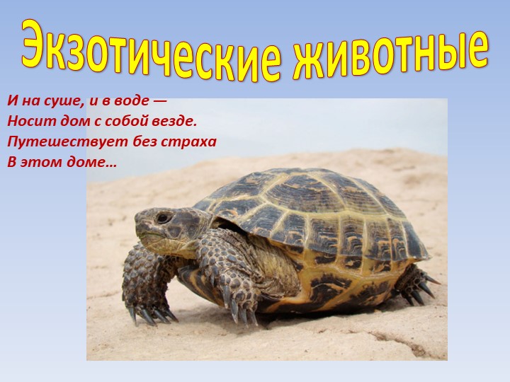 Электронное приложение к занятию по конструированию из ТИКО по теме "Зоопарк"" - Скачать презентации бесплатно | Читать или скачать учебники для школы онлайн бесплатно ☑ Школьные учебники school-textbook.com