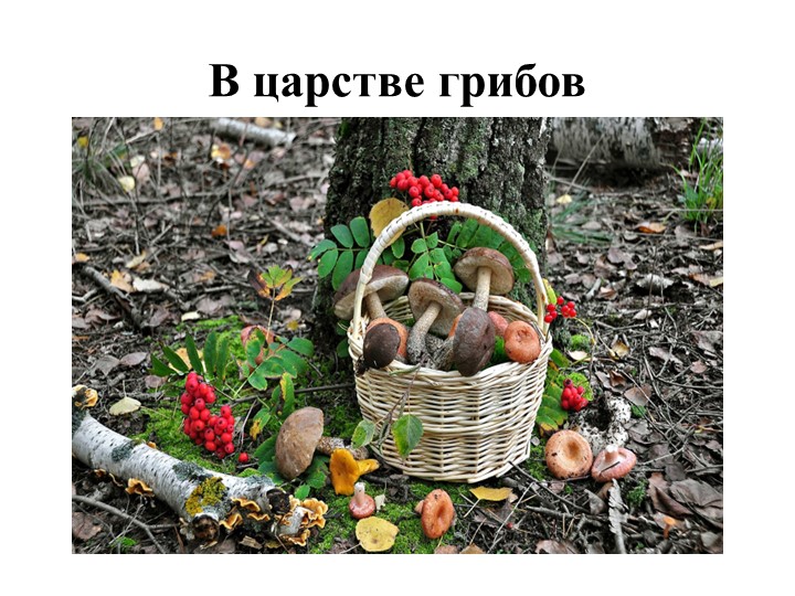 Презентация по ознакомлению с окружающим миром "В царстве грибов" - Скачать презентации бесплатно | Читать или скачать учебники для школы онлайн бесплатно ☑ Школьные учебники school-textbook.com