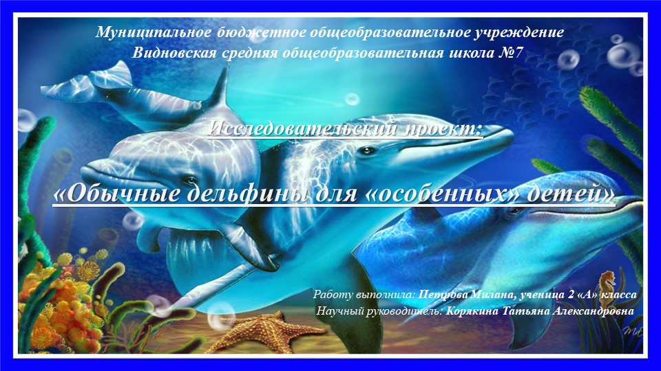 Проектная работа "Удивительный мир дельфинов" - Скачать презентации бесплатно | Читать или скачать учебники для школы онлайн бесплатно ☑ Школьные учебники school-textbook.com