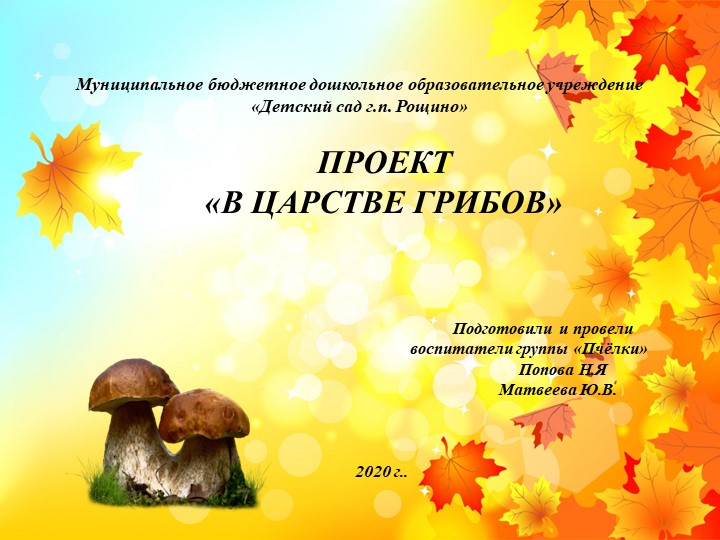 Презентация проекта "В царстве грибов" - Скачать презентации бесплатно | Читать или скачать учебники для школы онлайн бесплатно ☑ Школьные учебники school-textbook.com