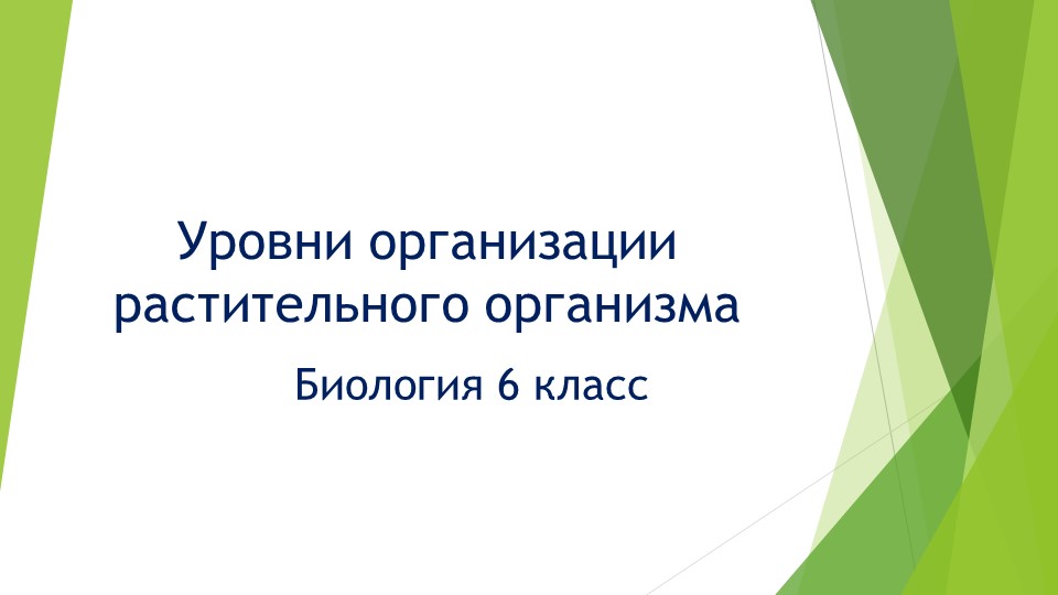 "Уровни организации растительного организма" 6 класс - Скачать презентации бесплатно | Читать или скачать учебники для школы онлайн бесплатно ☑ Школьные учебники school-textbook.com