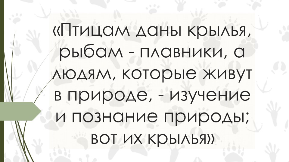 Введение. Биология 7 класс - Скачать презентации бесплатно | Читать или скачать учебники для школы онлайн бесплатно ☑ Школьные учебники school-textbook.com