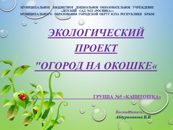 Огород на подоконнике проект в старшей группе - Скачать презентации бесплатно | Читать или скачать учебники для школы онлайн бесплатно ☑ Школьные учебники school-textbook.com