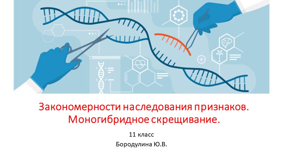 Презентация по биологии на тему "Закономерности наследования признаков. Моногибридное скрещивание." (11 класс) - Скачать презентации бесплатно | Читать или скачать учебники для школы онлайн бесплатно ☑ Школьные учебники school-textbook.com