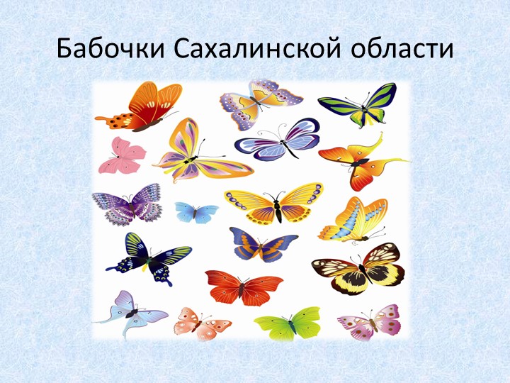 Презентация "Бабочки Сахалинской области" - Скачать презентации бесплатно | Читать или скачать учебники для школы онлайн бесплатно ☑ Школьные учебники school-textbook.com