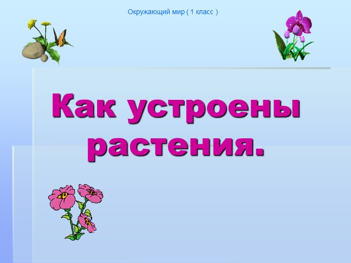 Презентация к уроку "Как устроено растение" - Скачать презентации бесплатно | Читать или скачать учебники для школы онлайн бесплатно ☑ Школьные учебники school-textbook.com