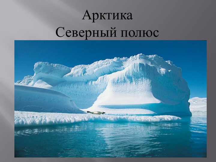 Презентация по окружающему миру для старших дошкольников: "Арктика. Северный полюс." - Скачать презентации бесплатно | Читать или скачать учебники для школы онлайн бесплатно ☑ Школьные учебники school-textbook.com