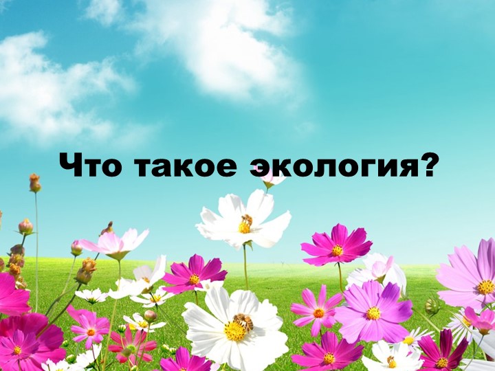 Презентация на тему: " Что такое экология" 4 класс - Скачать презентации бесплатно | Читать или скачать учебники для школы онлайн бесплатно ☑ Школьные учебники school-textbook.com