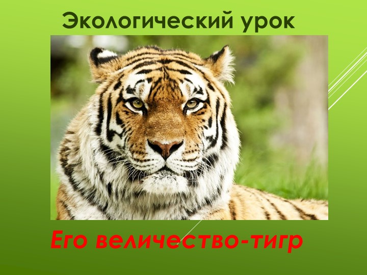 Презентация к экологическому уроку на тему"Его величество - тигр" (3 класс) - Скачать презентации бесплатно | Читать или скачать учебники для школы онлайн бесплатно ☑ Школьные учебники school-textbook.com