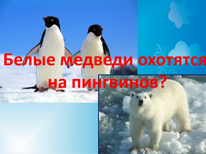 Презентация по окружающему миру на тему "Где зимуют белые медведи" - Скачать презентации бесплатно | Читать или скачать учебники для школы онлайн бесплатно ☑ Школьные учебники school-textbook.com