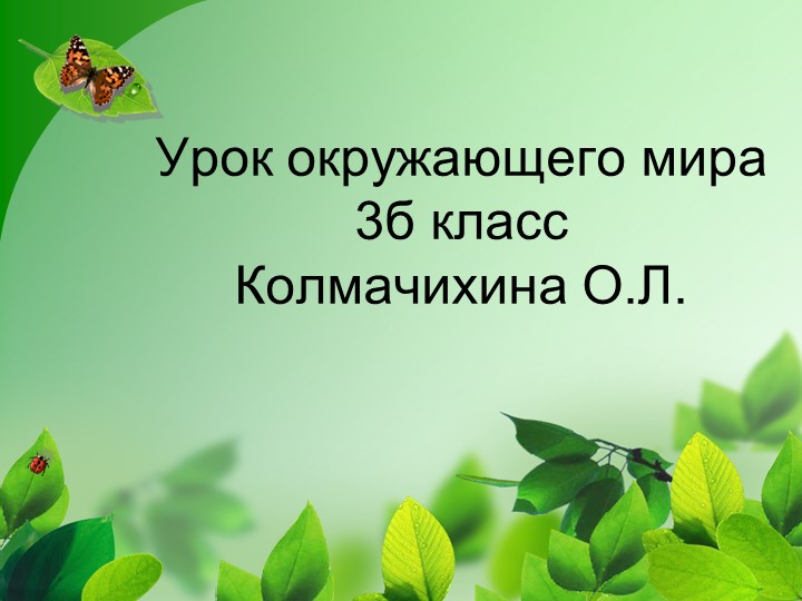 Презентация к уроку по окружающему миру "В царстве грибов" - Скачать презентации бесплатно | Читать или скачать учебники для школы онлайн бесплатно ☑ Школьные учебники school-textbook.com