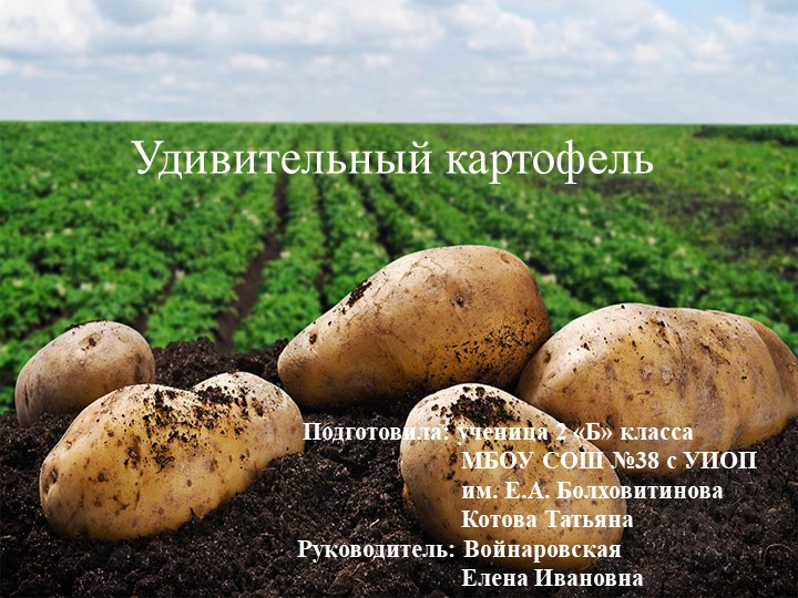 Презентация по окружающему миру на тему :"Удивительный картофель". (2-4 класс) - Скачать презентации бесплатно | Читать или скачать учебники для школы онлайн бесплатно ☑ Школьные учебники school-textbook.com