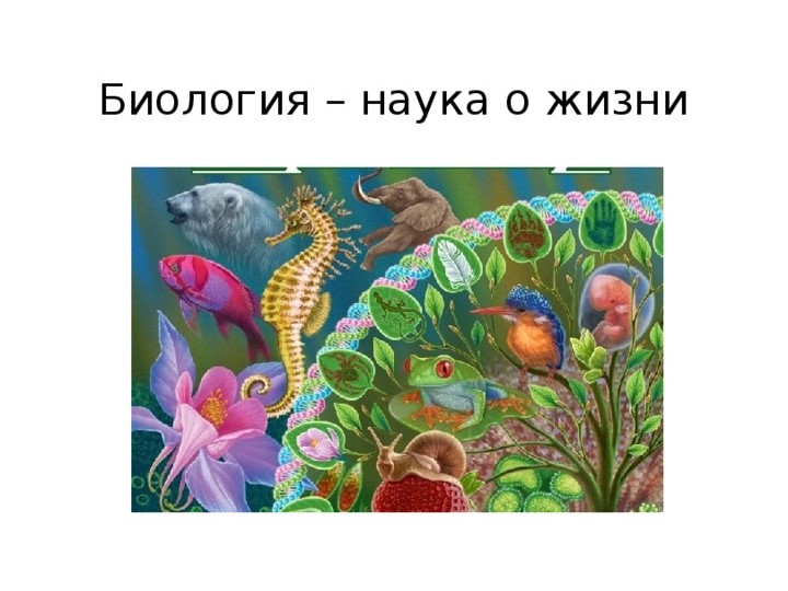 Признаки живого. Живая и неживая природа - Скачать презентации бесплатно | Читать или скачать учебники для школы онлайн бесплатно ☑ Школьные учебники school-textbook.com