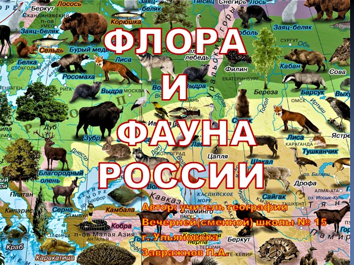 Презентация по географии: "Флора и фауна России" (8 класс) - Скачать презентации бесплатно | Читать или скачать учебники для школы онлайн бесплатно ☑ Школьные учебники school-textbook.com
