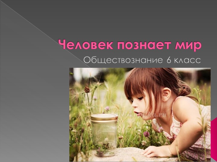 Тема урока "Человек познает мир" - Скачать презентации бесплатно | Читать или скачать учебники для школы онлайн бесплатно ☑ Школьные учебники school-textbook.com