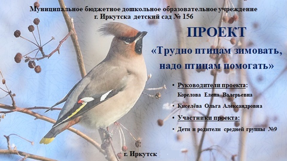 Презентация проекта "Трудно птицам зимовать, надо птицам помогать" - Скачать презентации бесплатно | Читать или скачать учебники для школы онлайн бесплатно ☑ Школьные учебники school-textbook.com