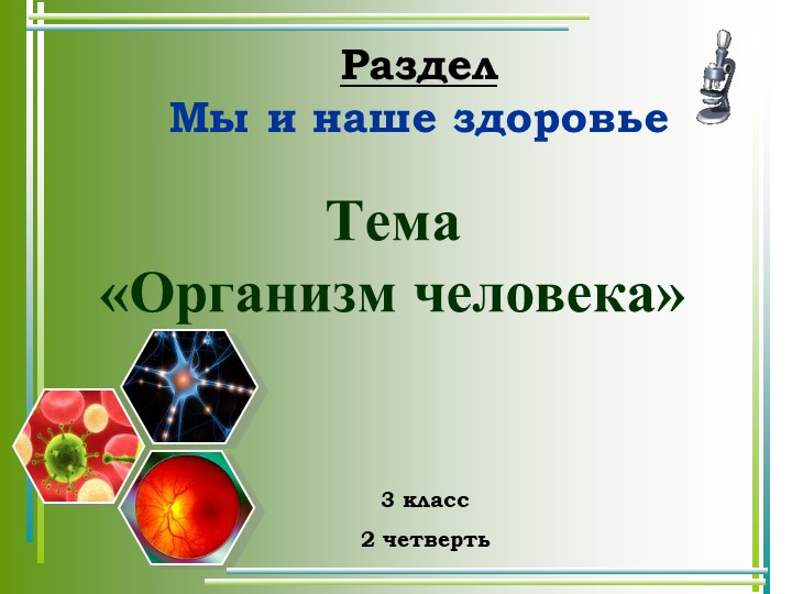Презентация к уроку окружающего мира 3 класс "Организм человека" - Скачать презентации бесплатно | Читать или скачать учебники для школы онлайн бесплатно ☑ Школьные учебники school-textbook.com