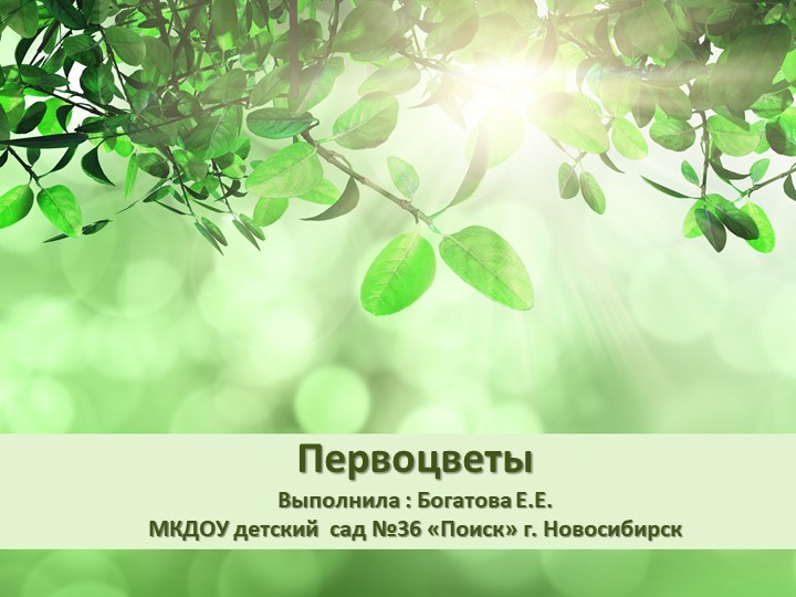 Презентация для детей средней группы "Первоцветы" - Скачать презентации бесплатно | Читать или скачать учебники для школы онлайн бесплатно ☑ Школьные учебники school-textbook.com