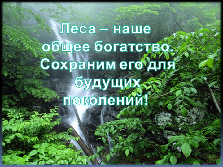 Защита аншлага "Сохраним русский лес" - Скачать презентации бесплатно | Читать или скачать учебники для школы онлайн бесплатно ☑ Школьные учебники school-textbook.com