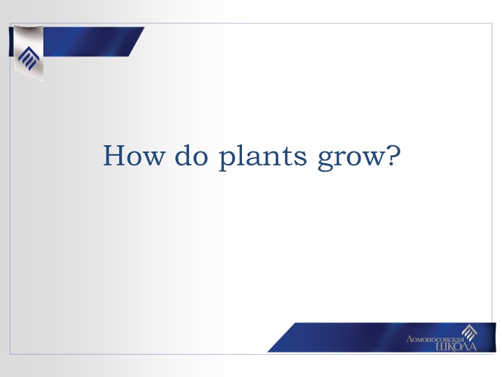Урок в 3-4 классе по теме: "How do plants grow?" - Скачать презентации бесплатно | Читать или скачать учебники для школы онлайн бесплатно ☑ Школьные учебники school-textbook.com
