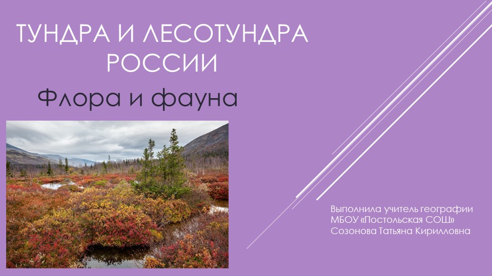 Презентация "Тундра и лесотундра России. Флора и фауна" - Скачать презентации бесплатно | Читать или скачать учебники для школы онлайн бесплатно ☑ Школьные учебники school-textbook.com