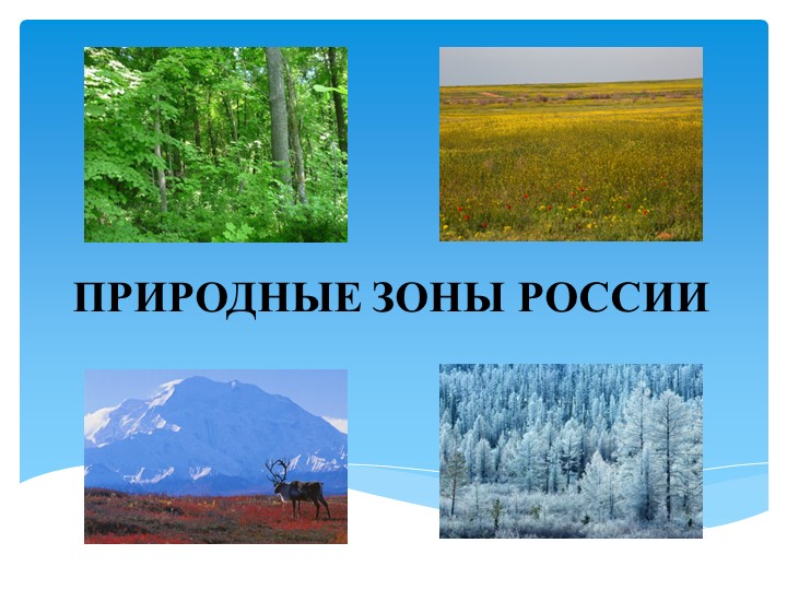 Презентация по биологии на тему "Природные зоны России" (5 класс) - Скачать презентации бесплатно | Читать или скачать учебники для школы онлайн бесплатно ☑ Школьные учебники school-textbook.com