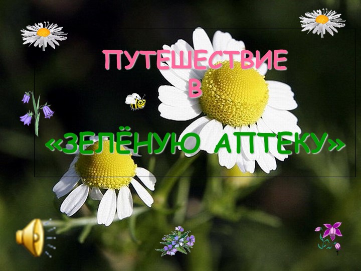 Презентация-путешествие "В лесную аптеку" - Скачать презентации бесплатно | Читать или скачать учебники для школы онлайн бесплатно ☑ Школьные учебники school-textbook.com