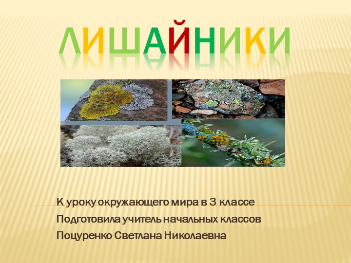 Презентация к уроку окружающего мира на тему "Лишайники" (3 класс) - Скачать презентации бесплатно | Читать или скачать учебники для школы онлайн бесплатно ☑ Школьные учебники school-textbook.com