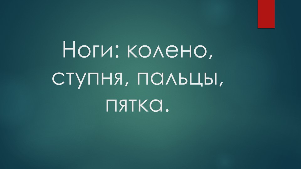 Презентация к уроку "Человек" по теме "Ноги: колено, ступня, пальцы, пятка" - Скачать презентации бесплатно | Читать или скачать учебники для школы онлайн бесплатно ☑ Школьные учебники school-textbook.com