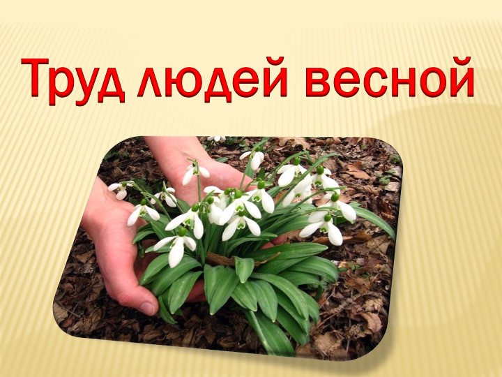 Презентация на тему "Труд людей весной"(группа предшкольной подготовки) - Скачать презентации бесплатно | Читать или скачать учебники для школы онлайн бесплатно ☑ Школьные учебники school-textbook.com