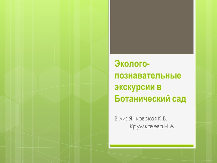 Эколого-познавательные экскурсии в Ботанический сад - Скачать презентации бесплатно | Читать или скачать учебники для школы онлайн бесплатно ☑ Школьные учебники school-textbook.com