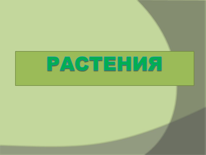 Презентация "Культурные и дикорастущие растения" (1 класс) - Скачать презентации бесплатно | Читать или скачать учебники для школы онлайн бесплатно ☑ Школьные учебники school-textbook.com