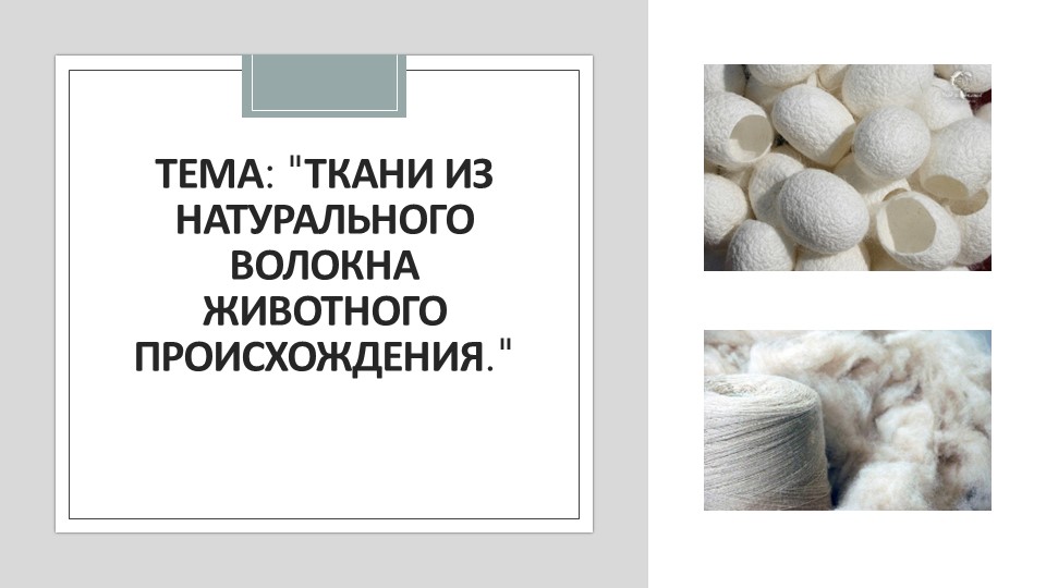 Презентация по технологии на теме "Производство и свойства тканей из натуральных тканей животного происхождения" (учебник Казакевич В.М.) 6 класс - Скачать презентации бесплатно | Читать или скачать учебники для школы онлайн бесплатно ☑ Школьные учебники school-textbook.com