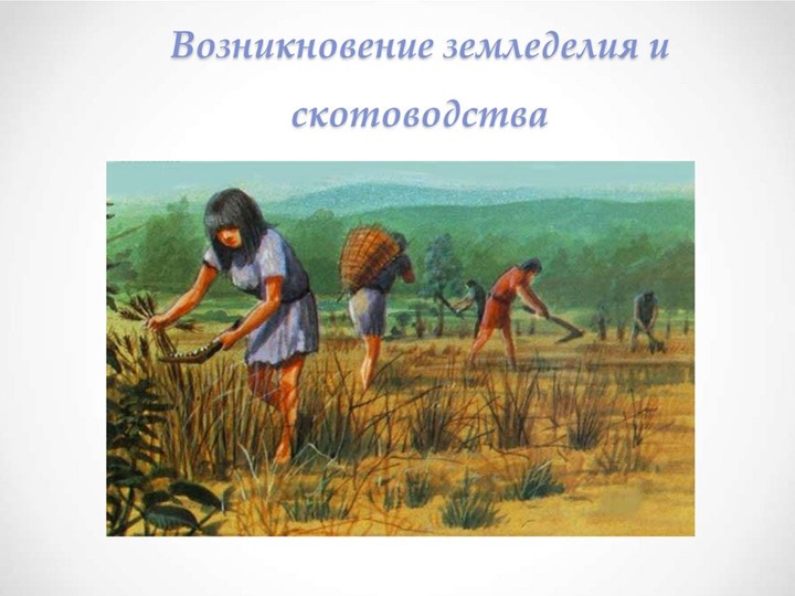 Урок по теме "Возникновение земледелия и скотоводства" - Скачать презентации бесплатно | Читать или скачать учебники для школы онлайн бесплатно ☑ Школьные учебники school-textbook.com