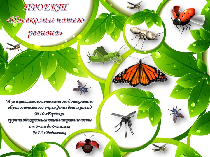 Презентация экологический проект " Насекомые нашего региона" (ст.гр) - Скачать презентации бесплатно | Читать или скачать учебники для школы онлайн бесплатно ☑ Школьные учебники school-textbook.com