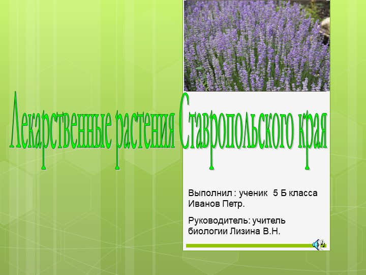 Лекарственные растения Ставропольского края - Скачать презентации бесплатно | Читать или скачать учебники для школы онлайн бесплатно ☑ Школьные учебники school-textbook.com