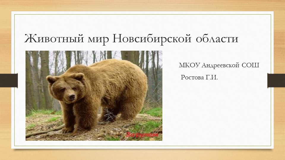Презентация "Животный мир Новосибирской области" - Скачать презентации бесплатно | Читать или скачать учебники для школы онлайн бесплатно ☑ Школьные учебники school-textbook.com