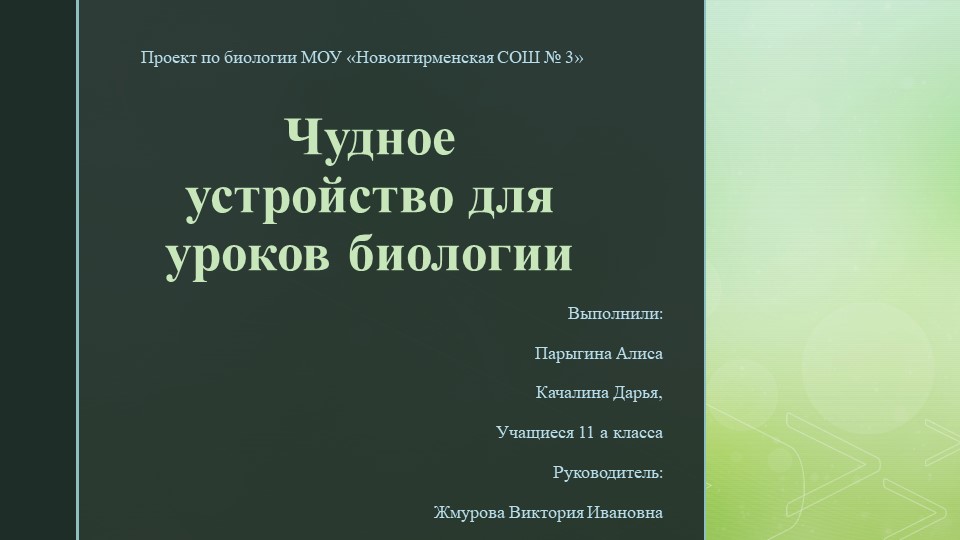 Цифровой микроскоп. С чего начать? - Скачать презентации бесплатно | Читать или скачать учебники для школы онлайн бесплатно ☑ Школьные учебники school-textbook.com
