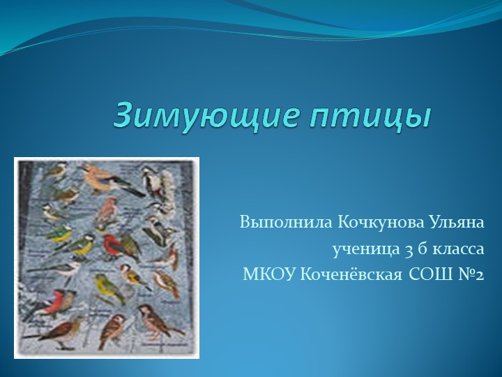 Презентация к уроку окружающий мир "Зимующие птицы" - Скачать презентации бесплатно | Читать или скачать учебники для школы онлайн бесплатно ☑ Школьные учебники school-textbook.com