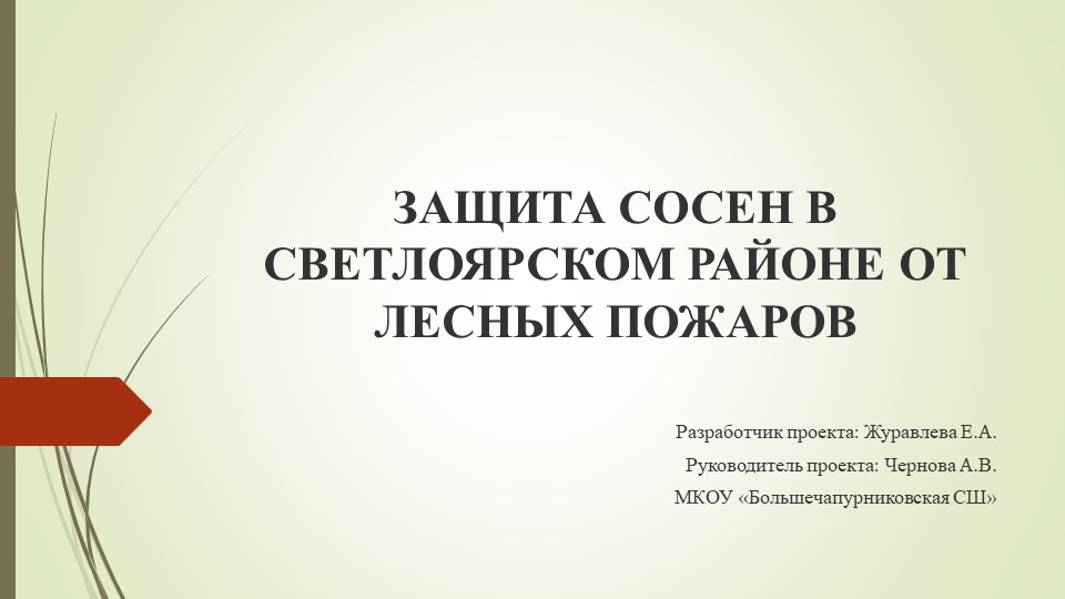 Презентация "Защита сосен в Светлоярском районе от лесных пожаров" - Скачать презентации бесплатно | Читать или скачать учебники для школы онлайн бесплатно ☑ Школьные учебники school-textbook.com