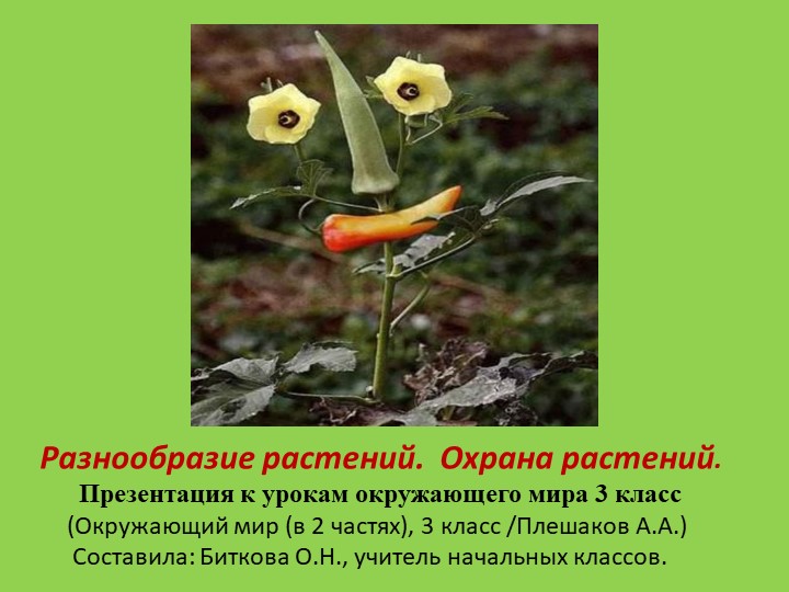 Презентация к уроку окружающего мира на тему "Разнообразие растений. Охрана растений". (3 класс) - Скачать презентации бесплатно | Читать или скачать учебники для школы онлайн бесплатно ☑ Школьные учебники school-textbook.com