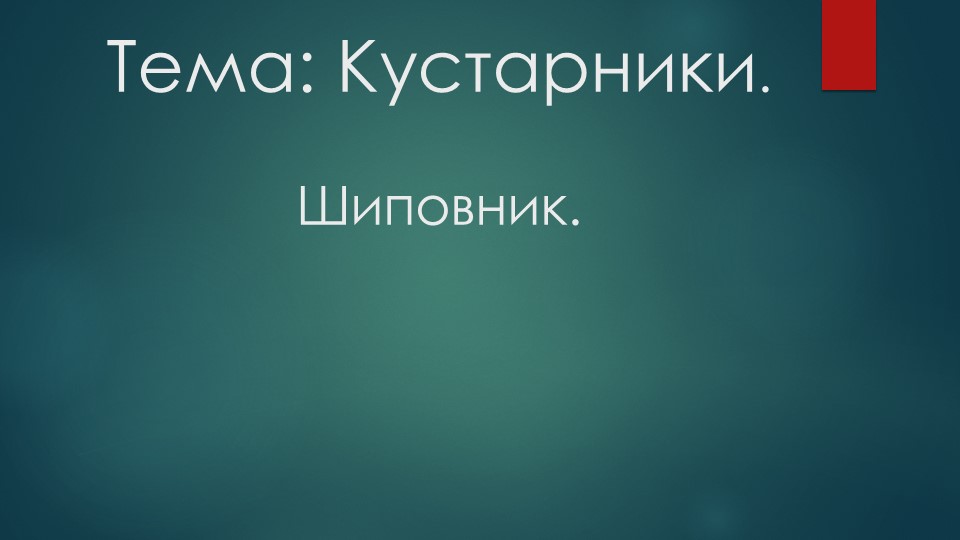 Природные сообщества. Кустарники леса. Шиповник - Скачать презентации бесплатно | Читать или скачать учебники для школы онлайн бесплатно ☑ Школьные учебники school-textbook.com