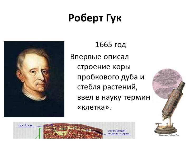 Презентация по биологии 5 кл "Строение клетки" - Скачать презентации бесплатно | Читать или скачать учебники для школы онлайн бесплатно ☑ Школьные учебники school-textbook.com